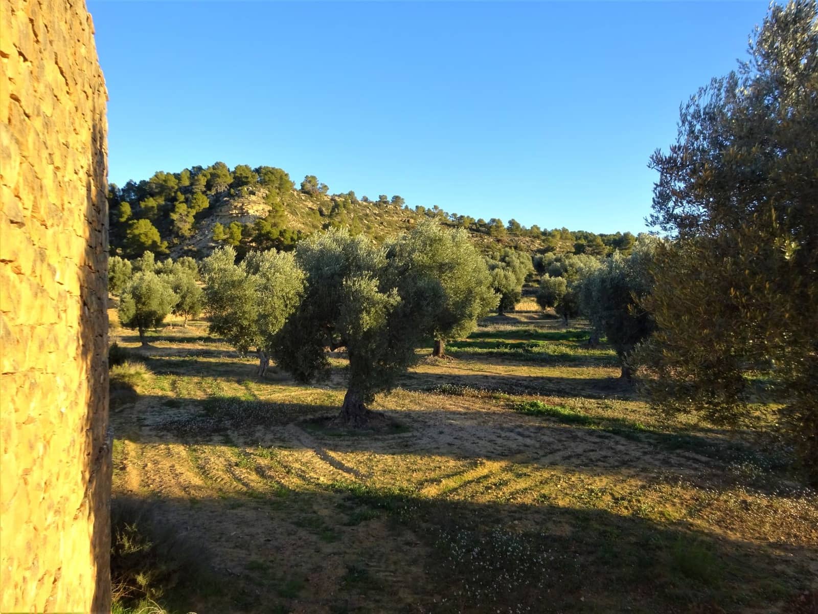 Finca/Casa Rural en Maella en venta - 49.000 € (Ref: 9510131)