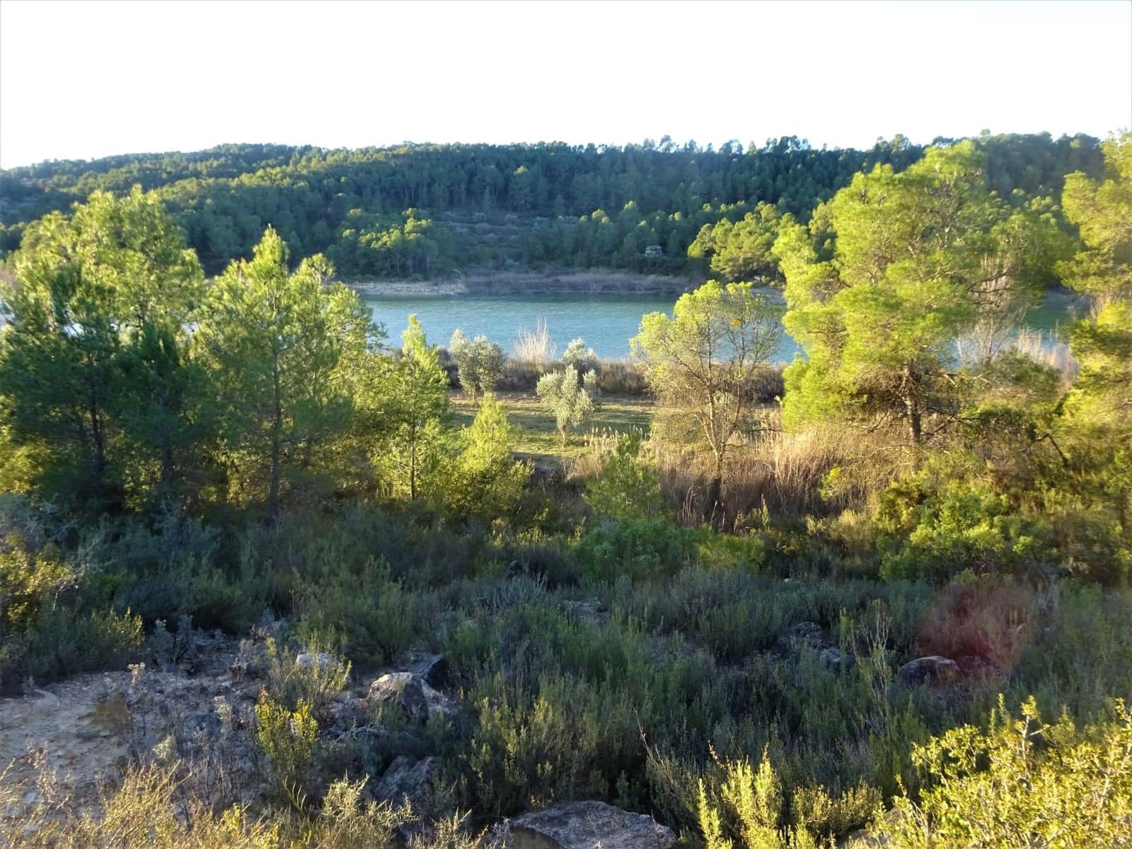 Finca/Casa Rural en Maella en venta - 49.000 € (Ref: 9510131)