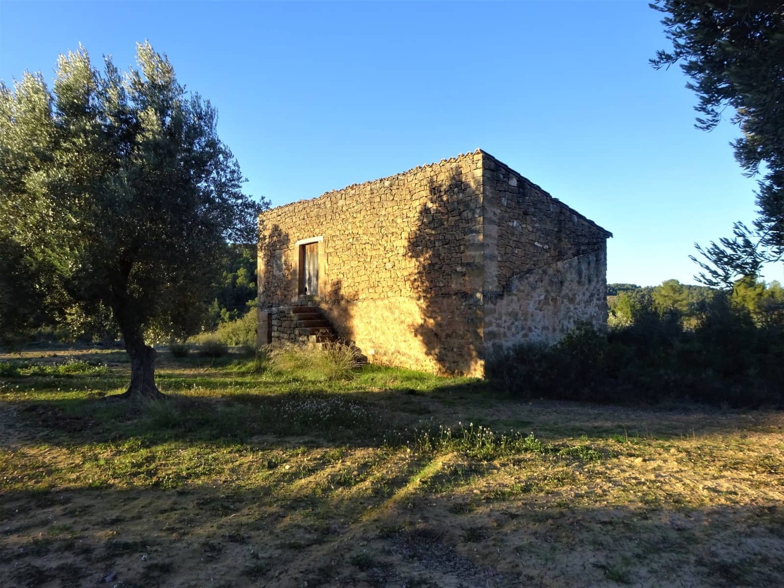 Finca/Casa Rural en Maella en venta - 49.000 € (Ref: 9510131)