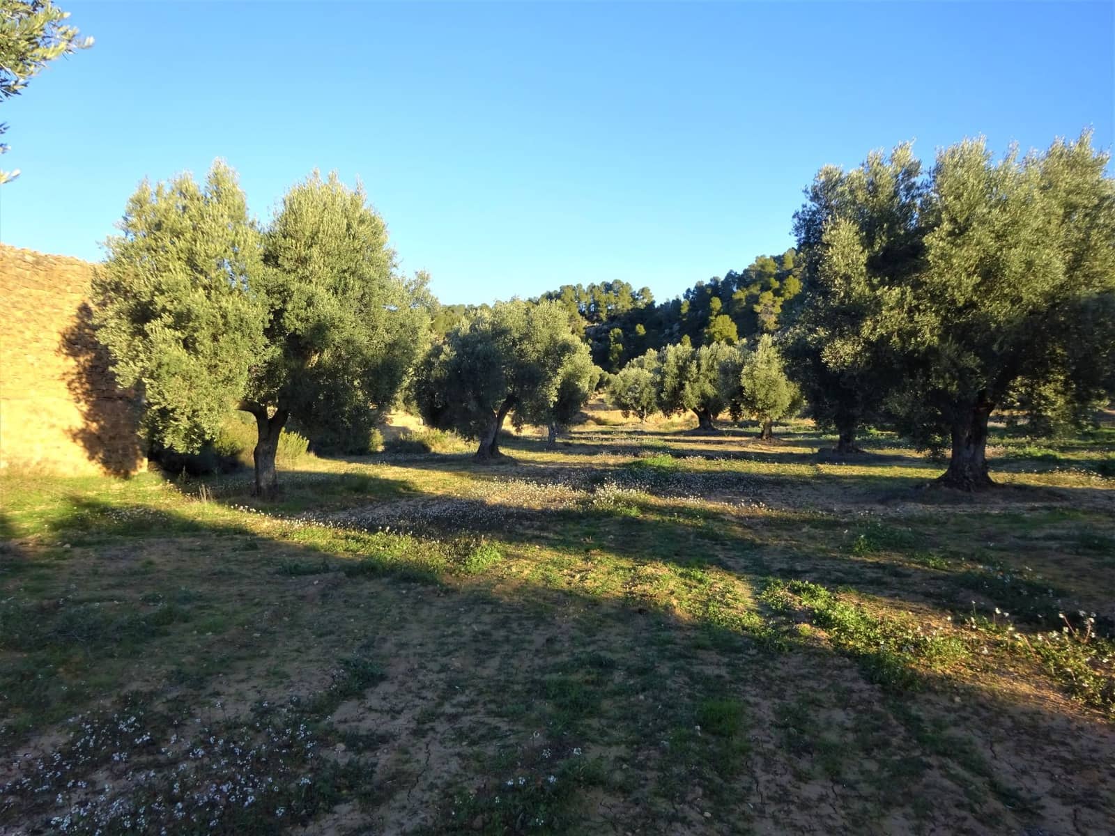 Finca/Casa Rural en Maella en venta - 49.000 € (Ref: 9510131)