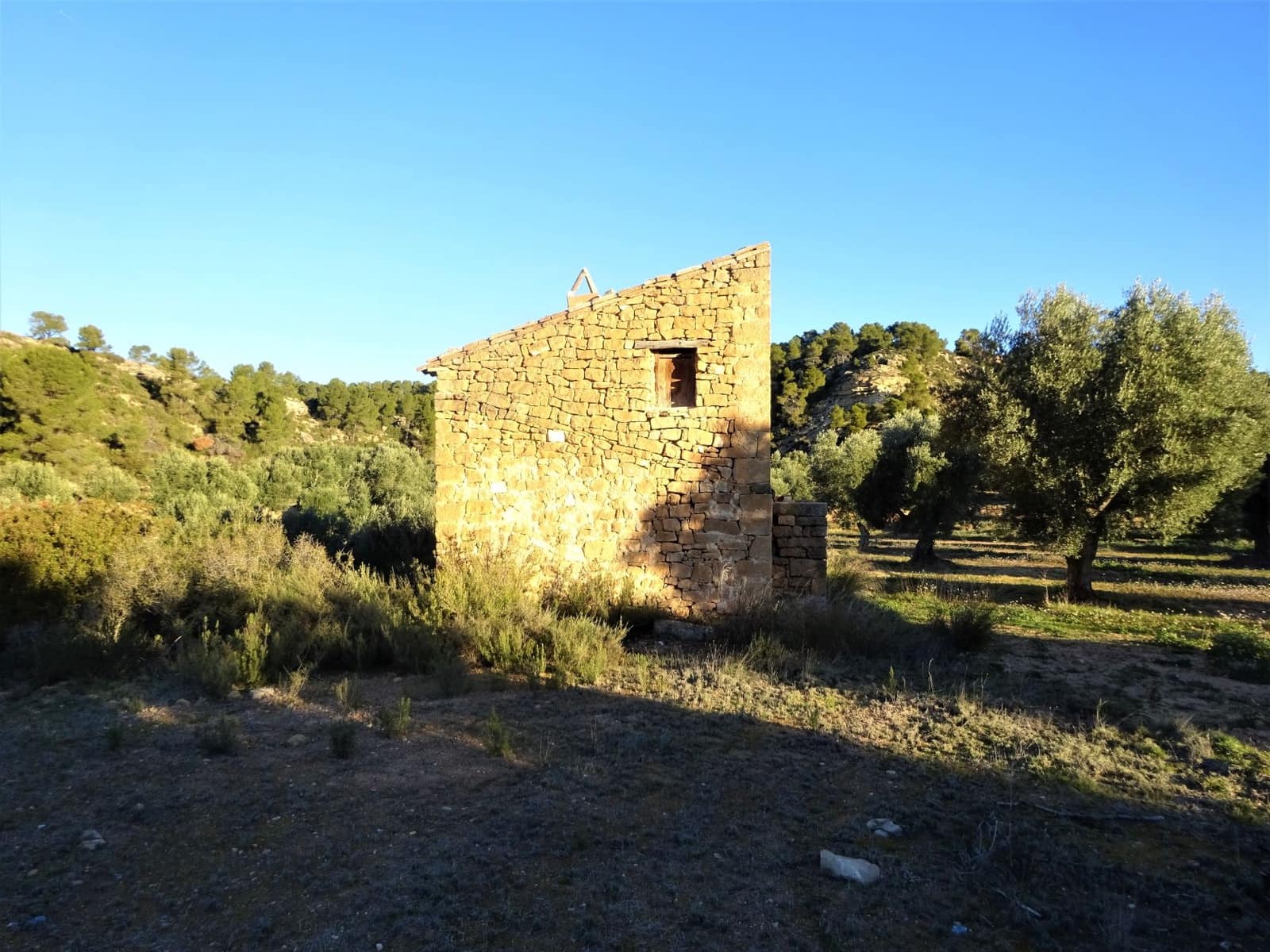 Finca/Casa Rural en Maella en venta - 49.000 € (Ref: 9510131)