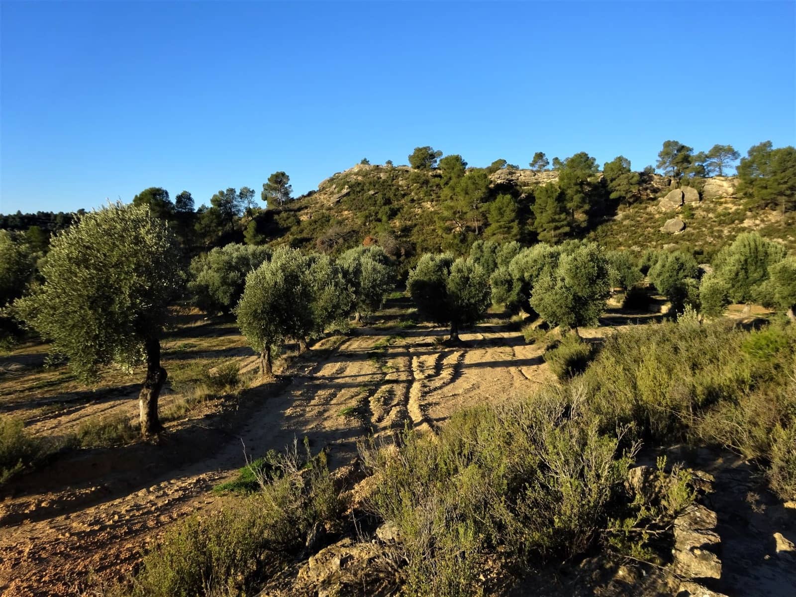 Finca/Casa Rural en Maella en venta - 49.000 € (Ref: 9510131)