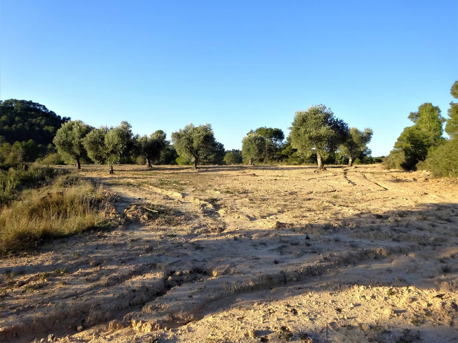 Finca/Casa Rural en Maella en venta - 49.000 € (Ref: 9510131)