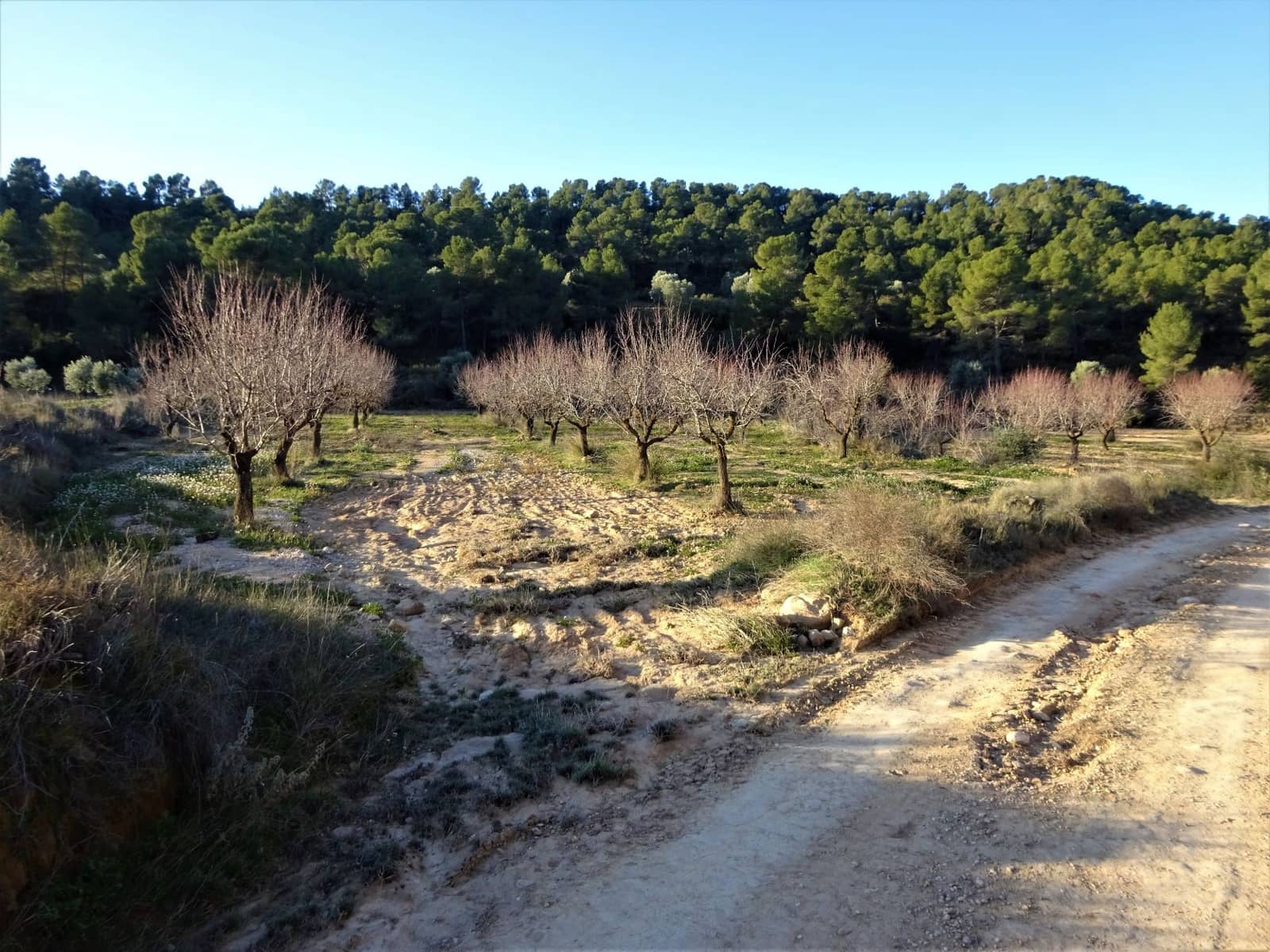 Finca/Casa Rural en Maella en venta - 49.000 € (Ref: 9510131)