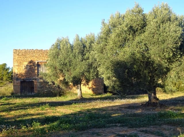 Finca/Casa Rural en Maella en venta - 49.000 € (Ref: 9510131)