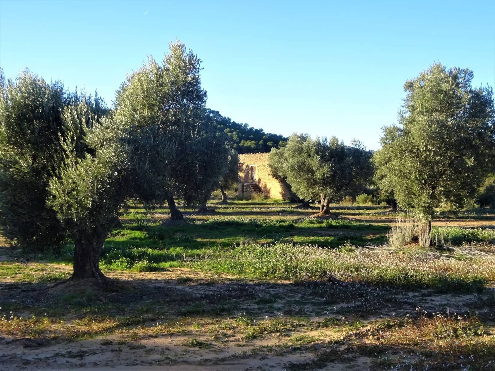 Finca/Casa Rural en Maella en venta - 49.000 € (Ref: 9510131)