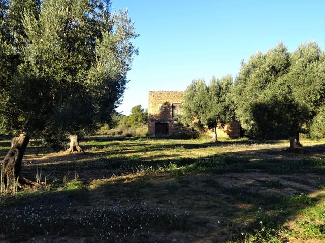 Finca/Casa Rural en Maella en venta - 49.000 € (Ref: 9510131)