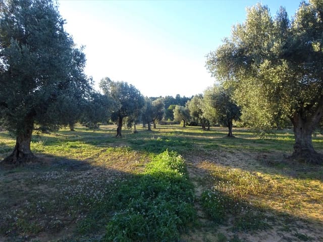 Finca/Casa Rural en Maella en venta - 49.000 € (Ref: 9510131)