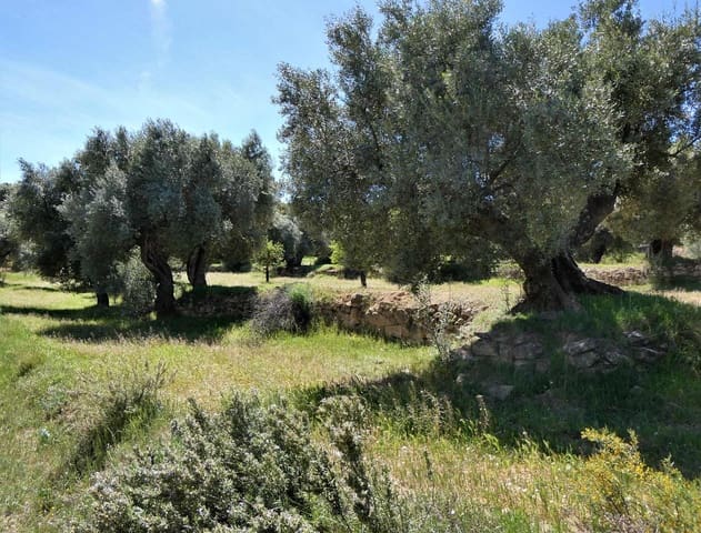 Finca/Maison de Campagne à vendre à Calaceite - 6 500 € (Ref: 9593121)