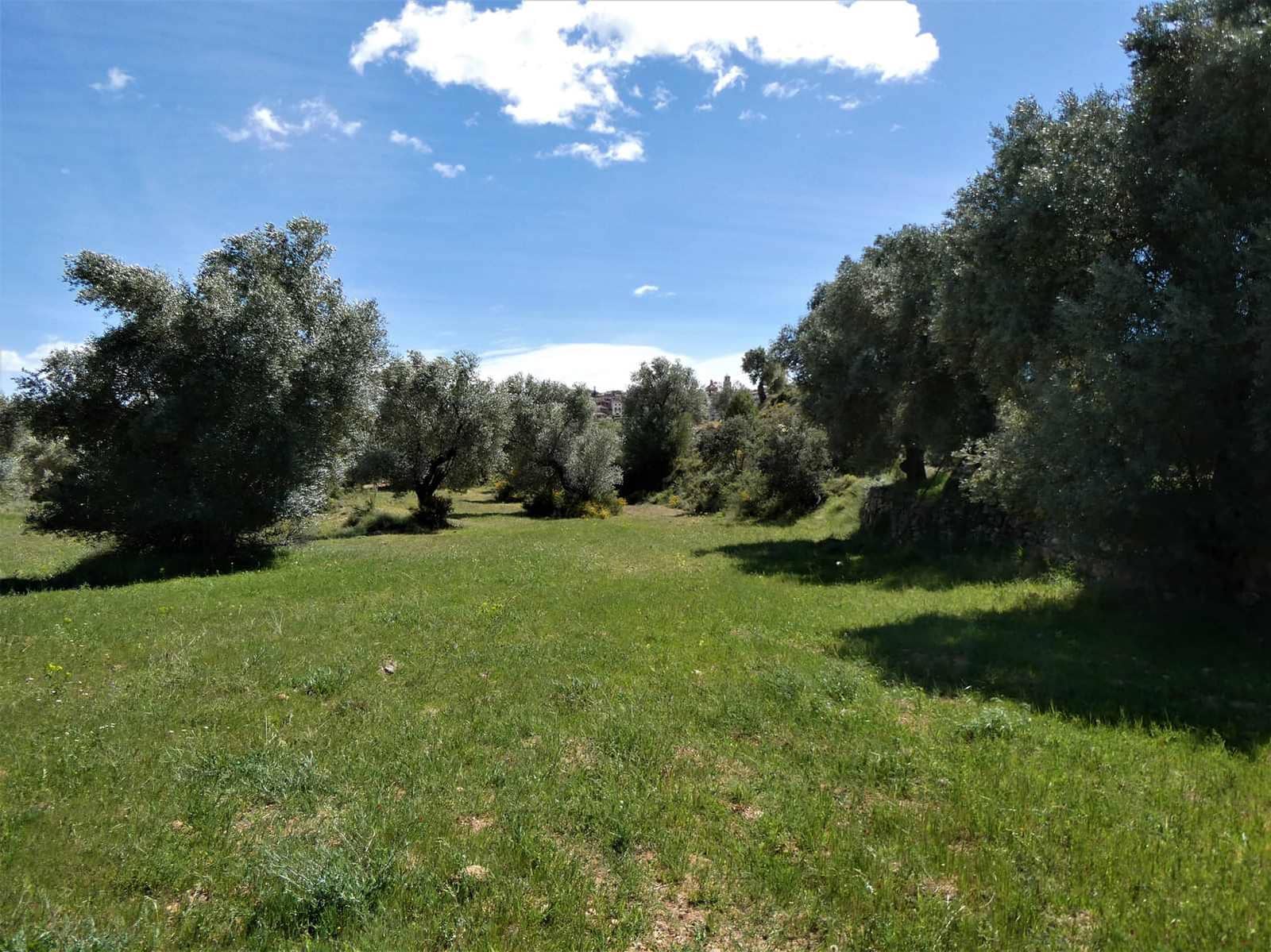 Finca/Country House for sale in Calaceite - € 6,500 (Ref: 9593121)