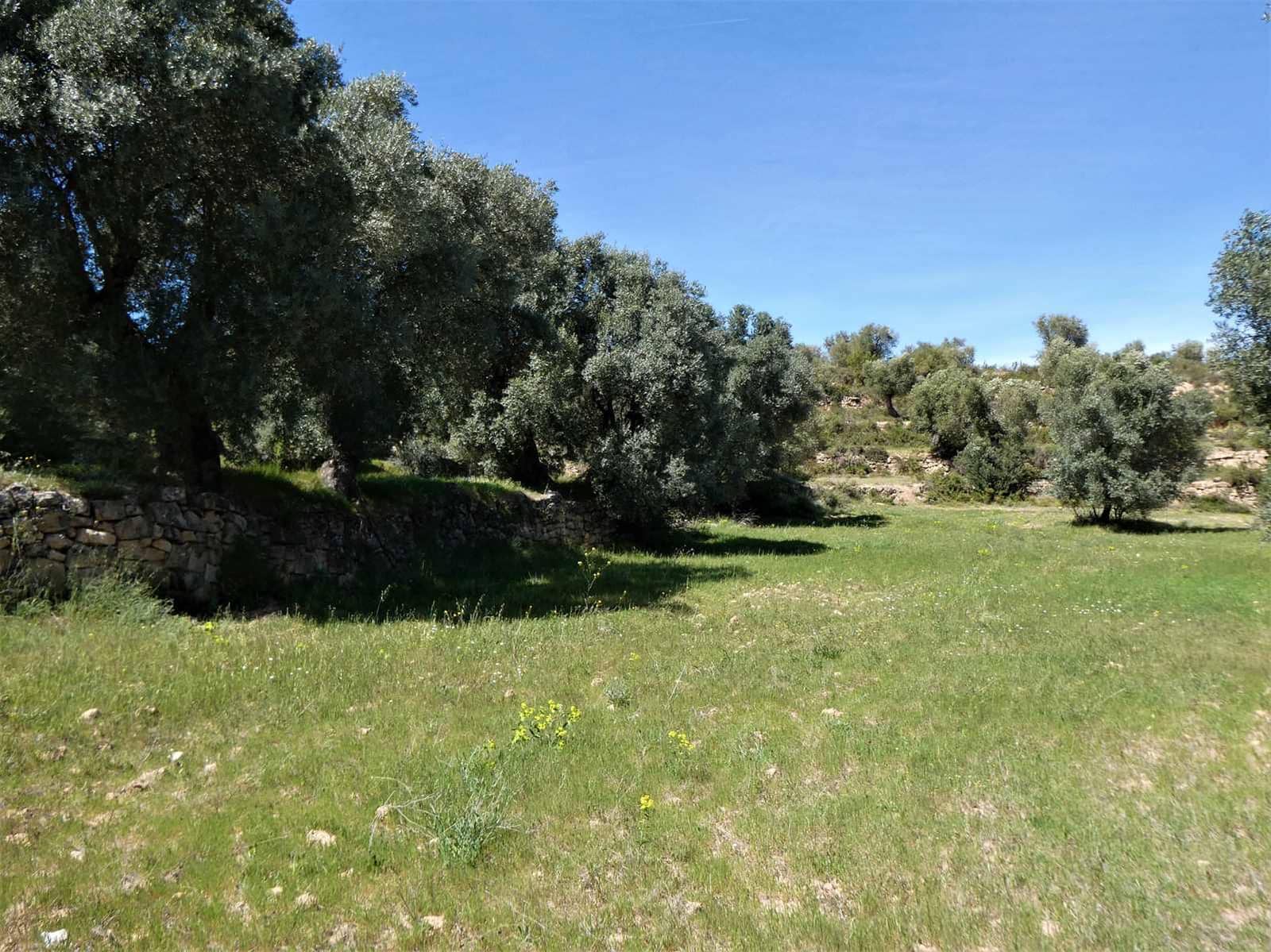 Finca/Country House for sale in Calaceite - € 6,500 (Ref: 9593121)