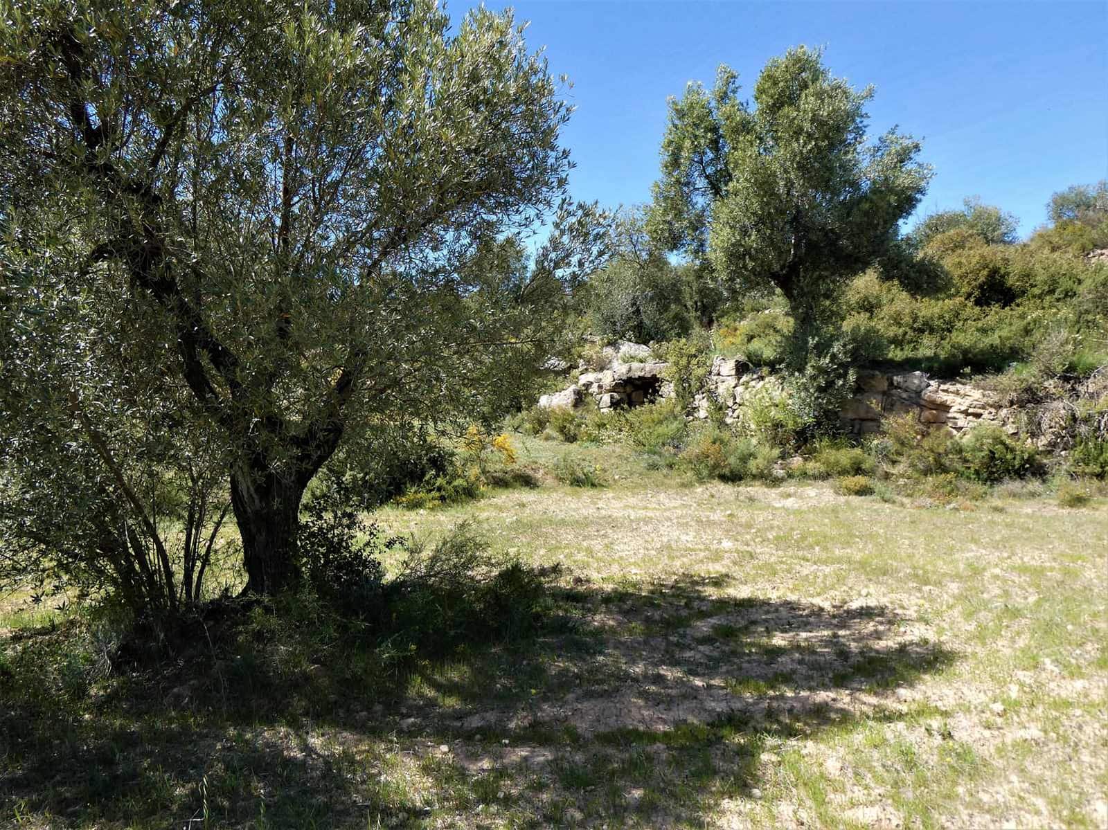 Finca/Country House for sale in Calaceite - € 6,500 (Ref: 9593121)