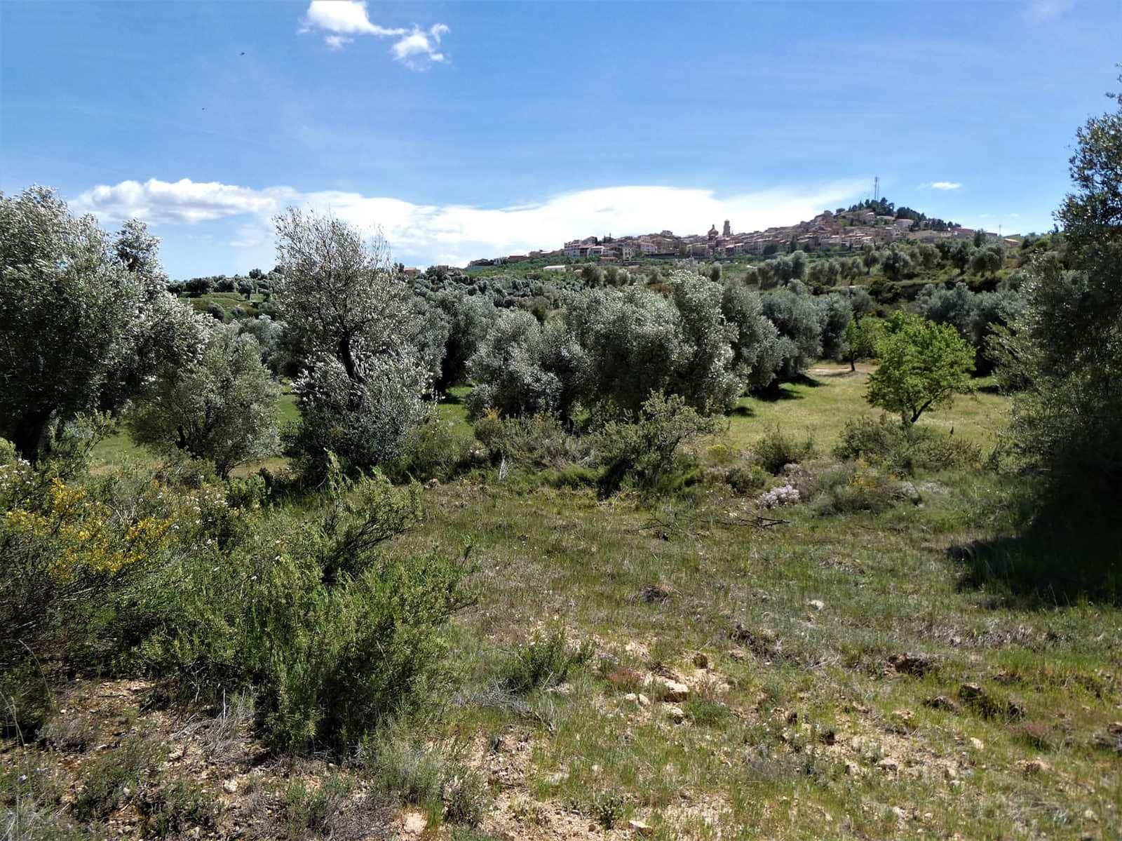 Finca/Country House for sale in Calaceite - € 6,500 (Ref: 9593121)