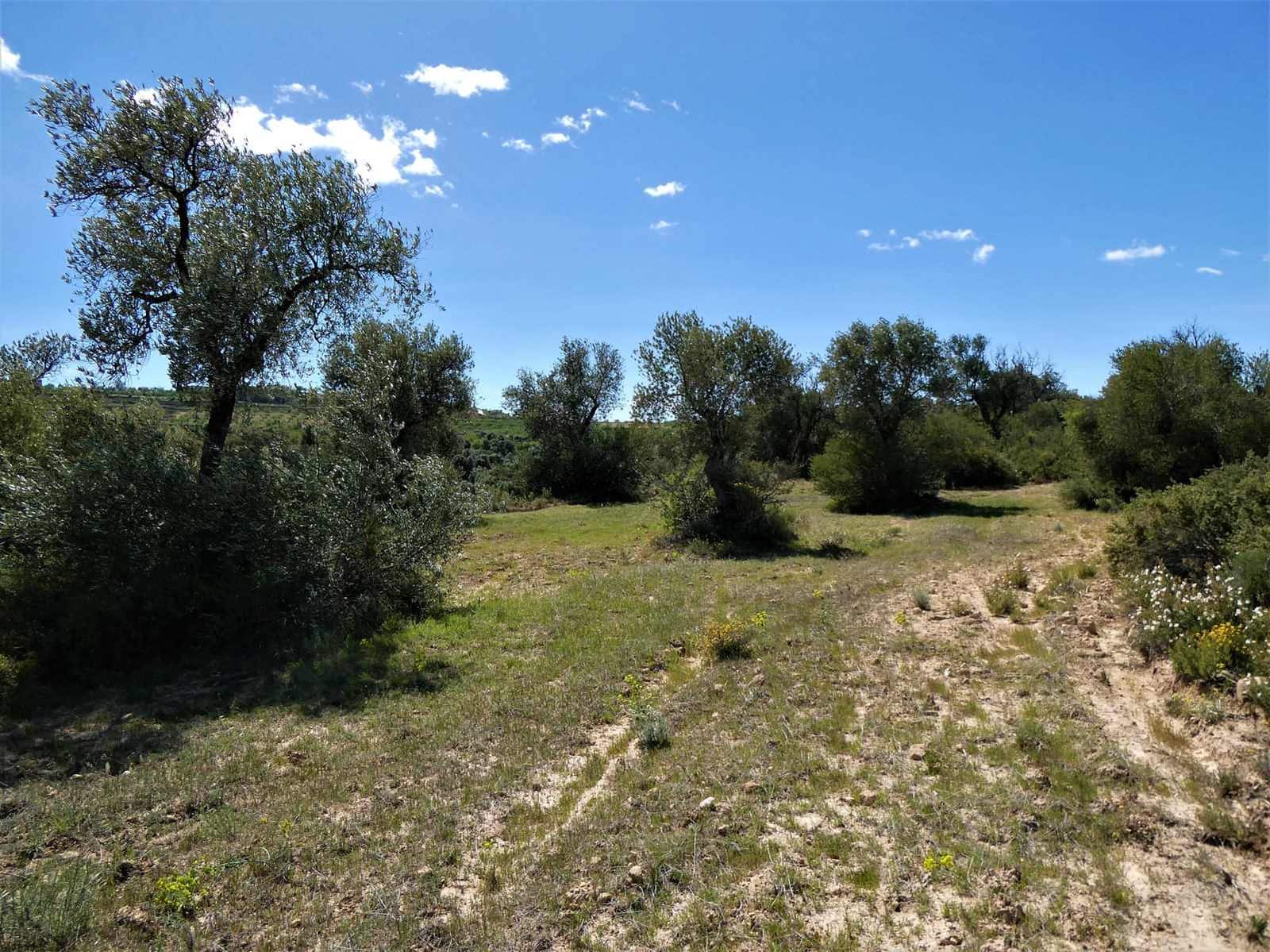 Finca/Country House for sale in Calaceite - € 6,500 (Ref: 9593121)