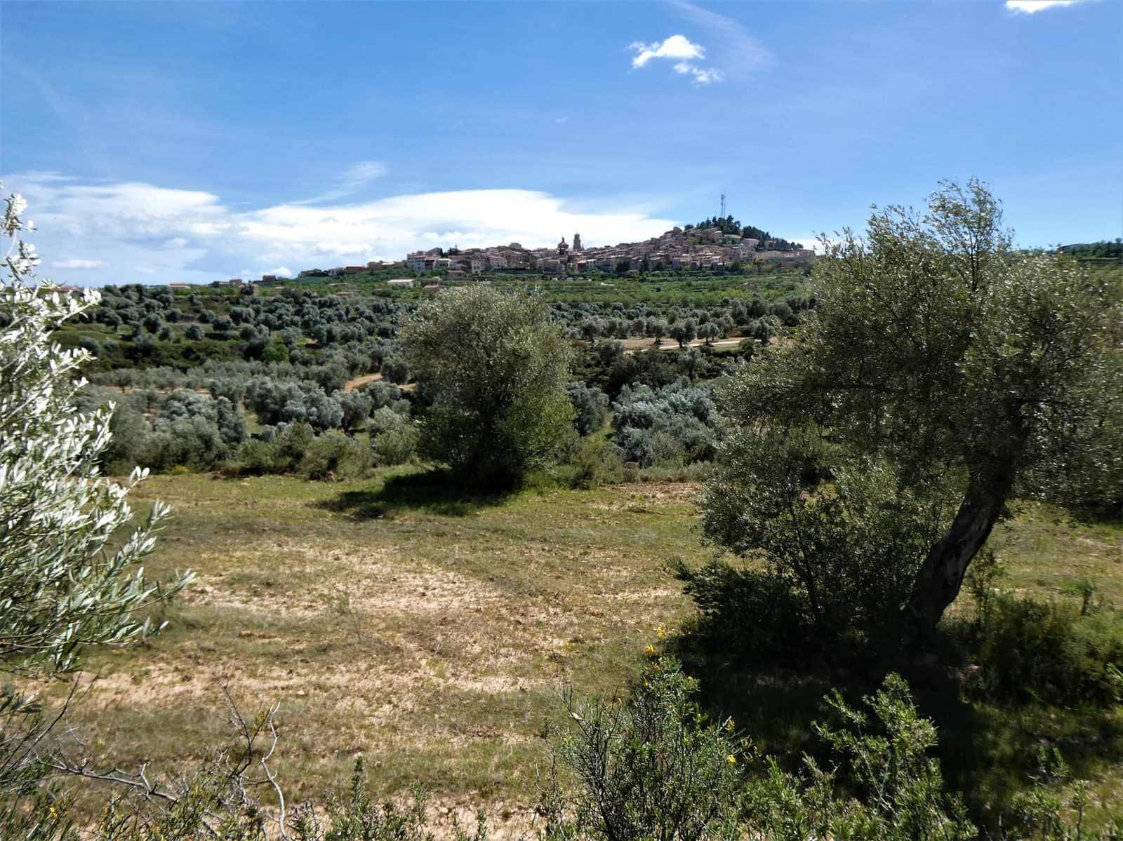 Finca/Country House for sale in Calaceite - € 6,500 (Ref: 9593121)