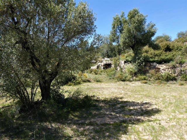 Finca/Maison de Campagne à vendre à Calaceite - 6 500 € (Ref: 9593121)
