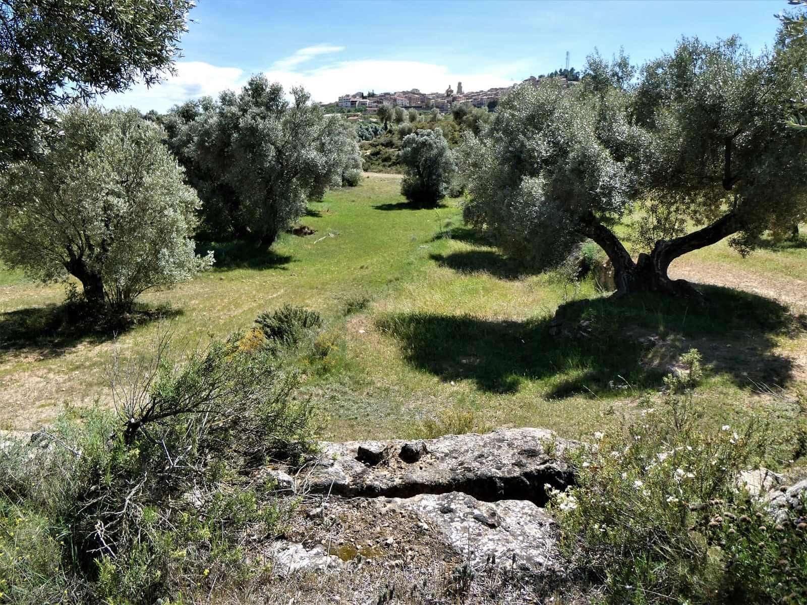 Finca/Country House for sale in Calaceite - € 6,500 (Ref: 9593121)