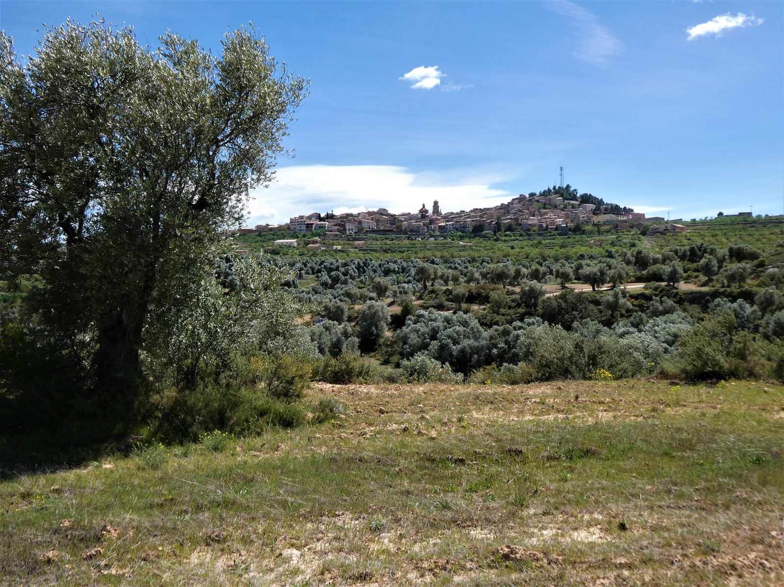 Finca/Country House for sale in Calaceite - € 6,500 (Ref: 9593121)
