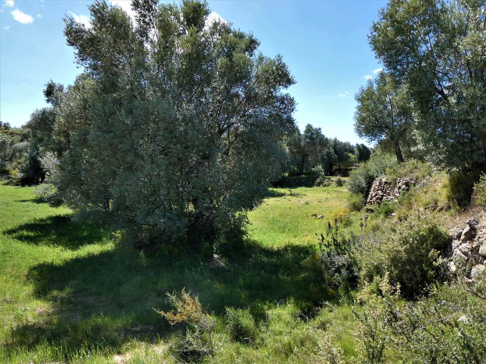 Finca/Country House for sale in Calaceite - € 6,500 (Ref: 9593121)