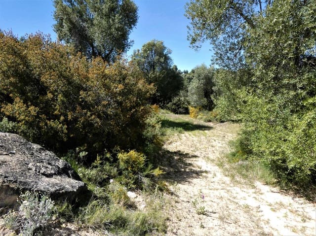 Finca/Maison de Campagne à vendre à Calaceite - 6 500 € (Ref: 9593121)