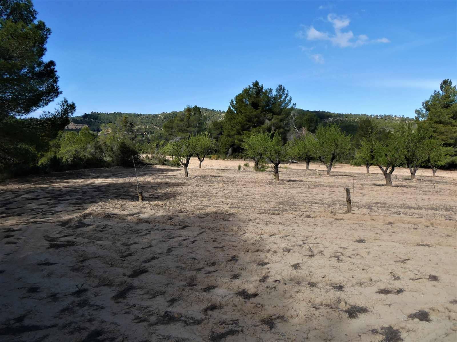 Finca/Country House for sale in Arens de Lledo - € 49,000 (Ref: 9593122)