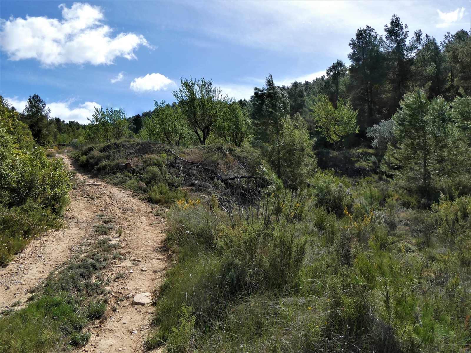 Finca/Country House for sale in Arens de Lledo - € 49,000 (Ref: 9593122)