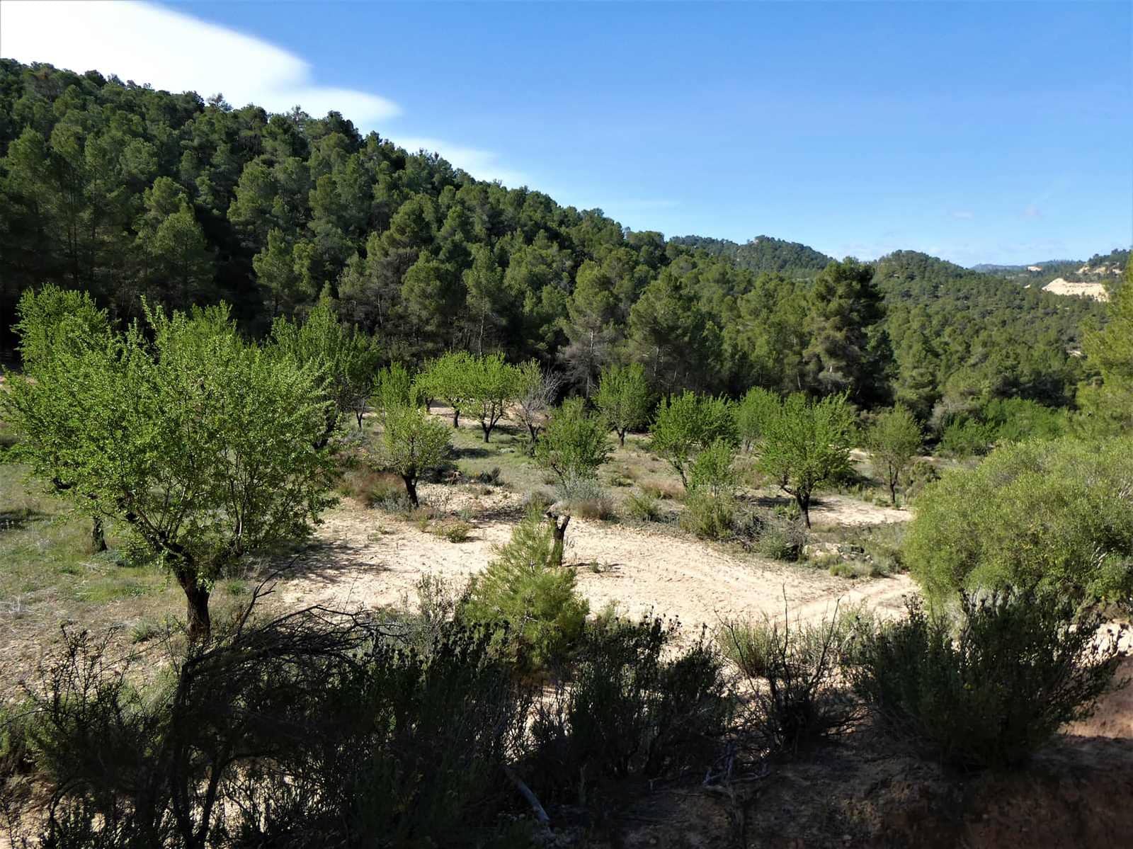 Finca/Country House for sale in Arens de Lledo - € 49,000 (Ref: 9593122)