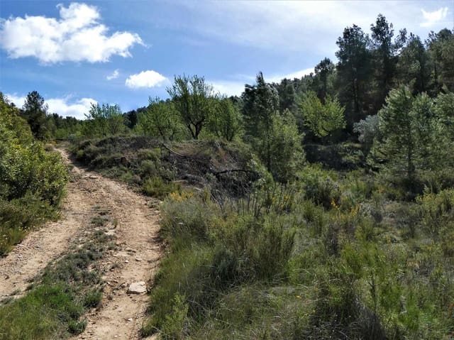 Finca/Hus på landet till salu i Arens de Lledó - 49 000 € (Ref: 9593122)