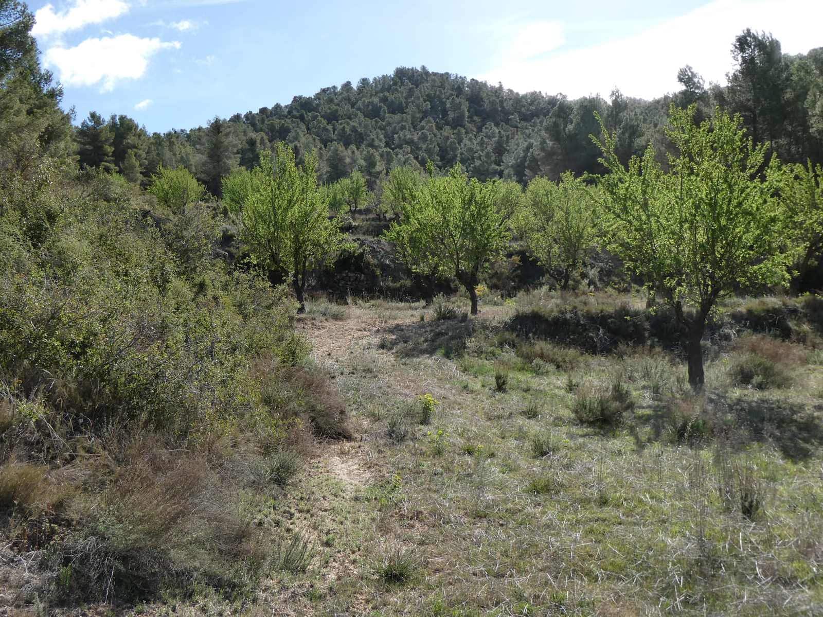 Finca/Country House for sale in Arens de Lledo - € 49,000 (Ref: 9593122)
