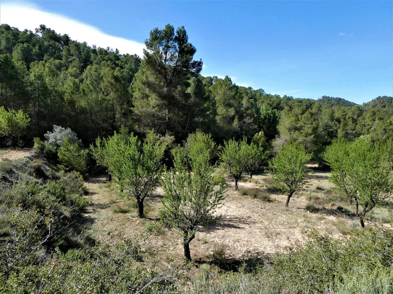 Finca/Country House for sale in Arens de Lledo - € 49,000 (Ref: 9593122)