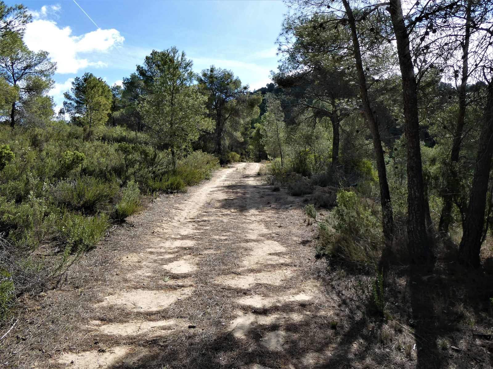 Finca/Country House for sale in Arens de Lledo - € 49,000 (Ref: 9593122)