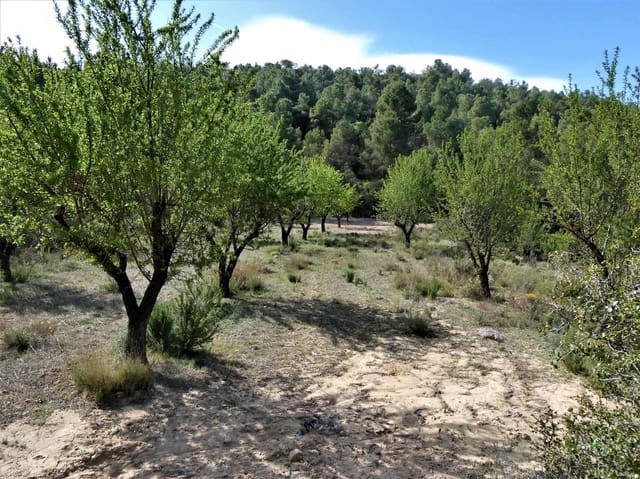 Finca/Hus på landet till salu i Arens de Lledó - 49 000 € (Ref: 9593122)