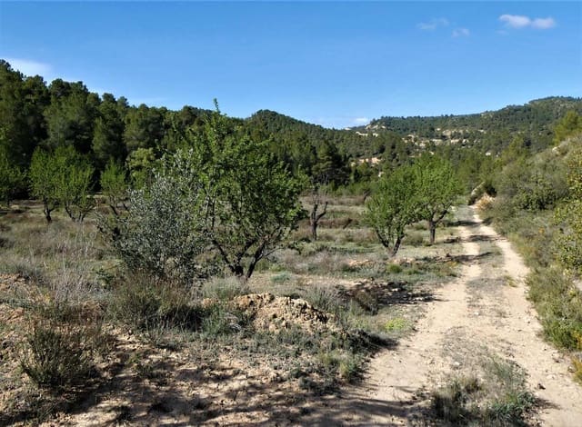 Finca/Hus på landet till salu i Arens de Lledó - 49 000 € (Ref: 9593122)