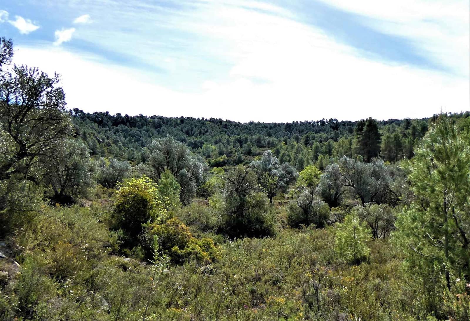 Finca/Country House for sale in Arens de Lledo - € 49,000 (Ref: 9593122)