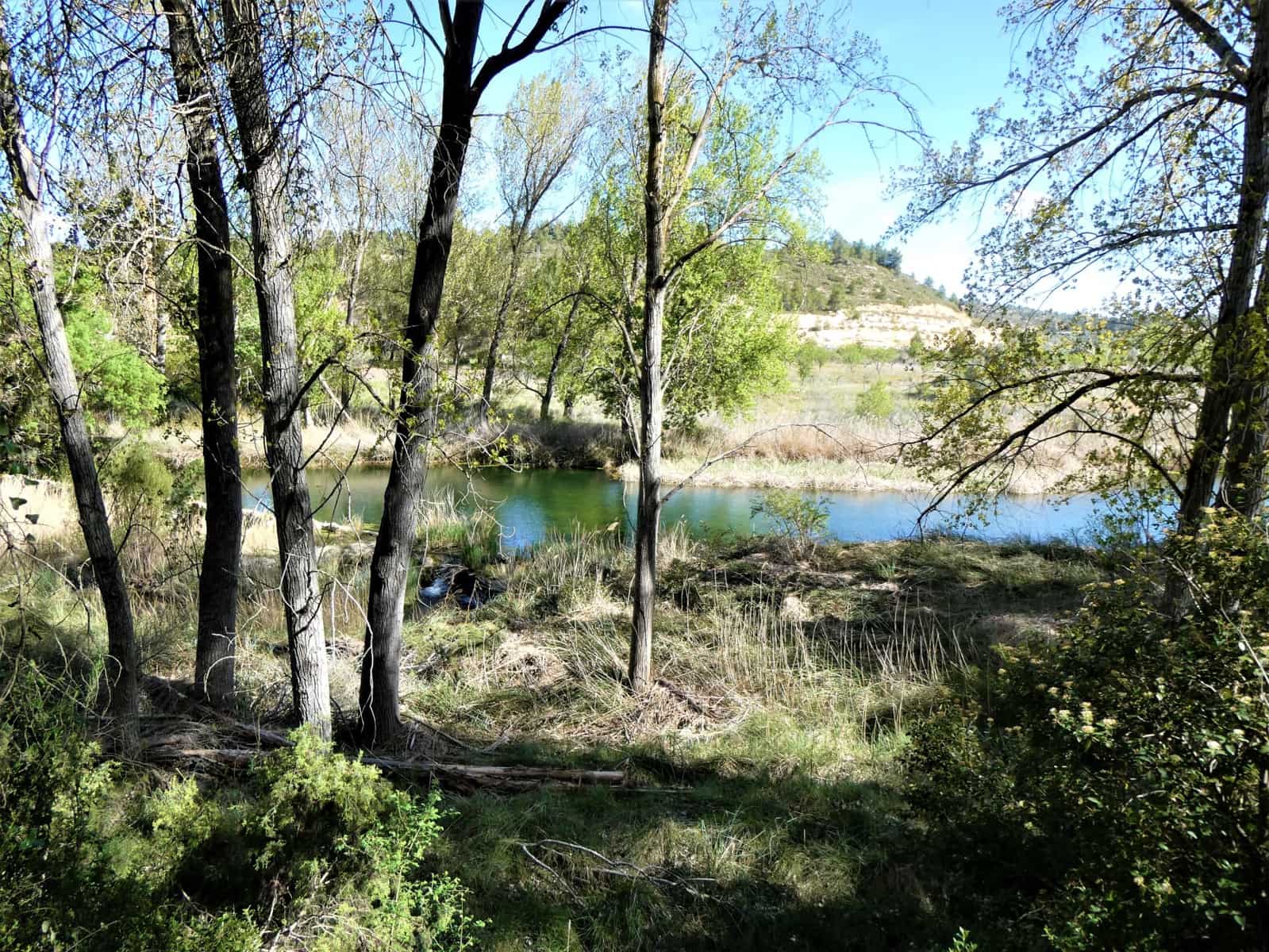 Finca/Country House for sale in Arens de Lledo - € 49,000 (Ref: 9593122)