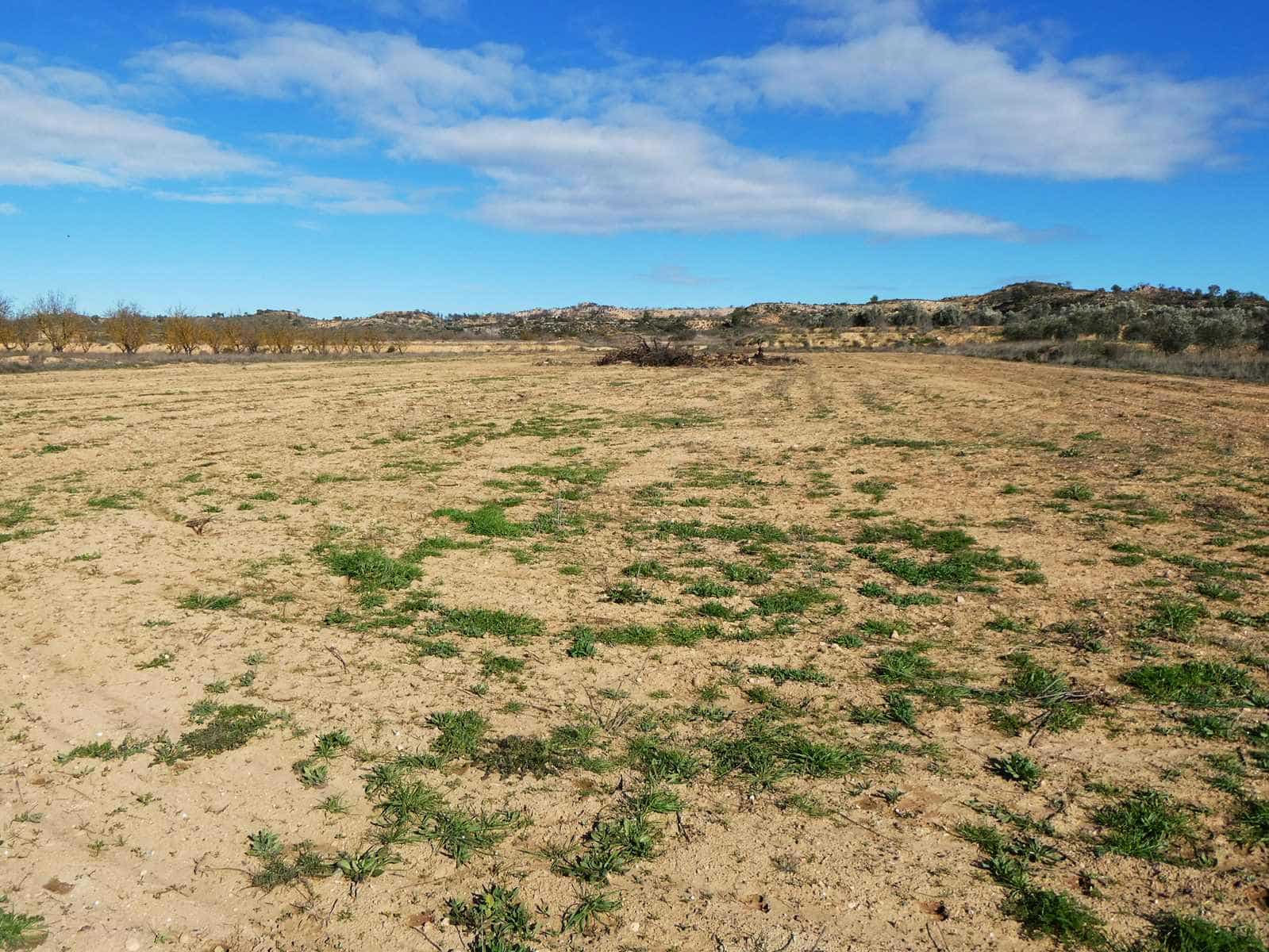 Finca/Casa Rural de 2 habitaciones en Fabara en venta con garaje - 38.000 € (Ref: 9622233)