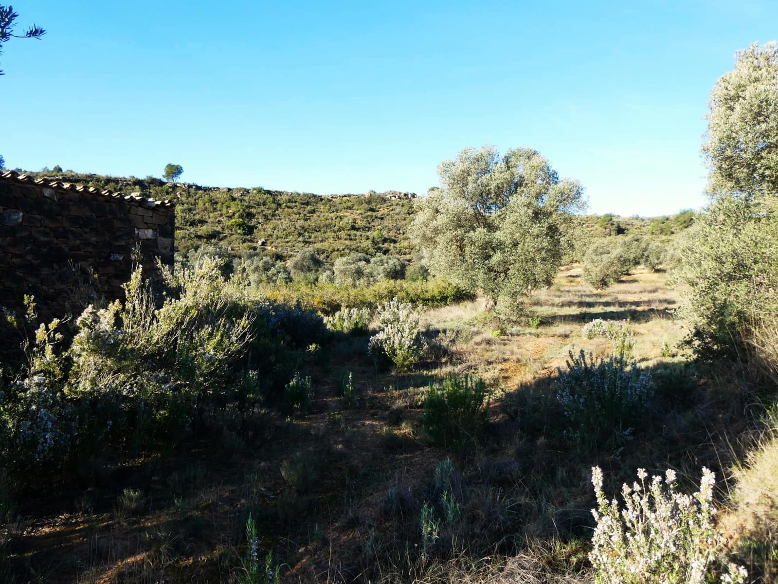 Finca/Country House for sale in Fabara - € 16,500 (Ref: 9694057)