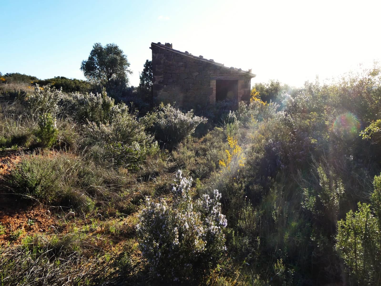 Finca/Country House for sale in Fabara - € 16,500 (Ref: 9694057)
