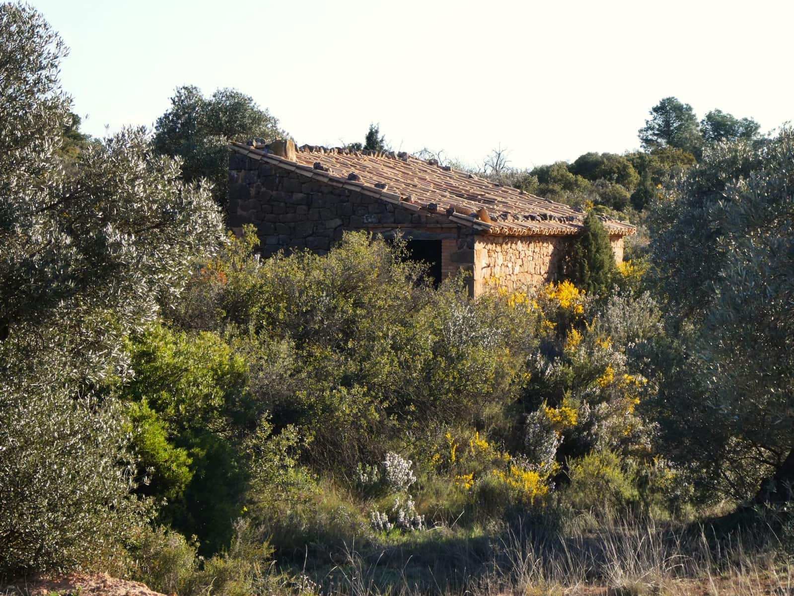Finca/Country House for sale in Fabara - € 16,500 (Ref: 9694057)