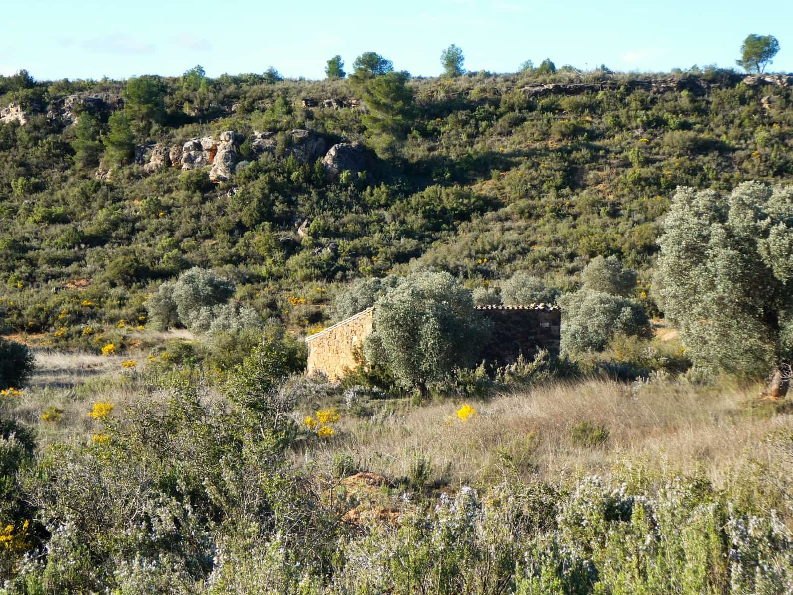 Finca/Country House for sale in Fabara - € 16,500 (Ref: 9694057)