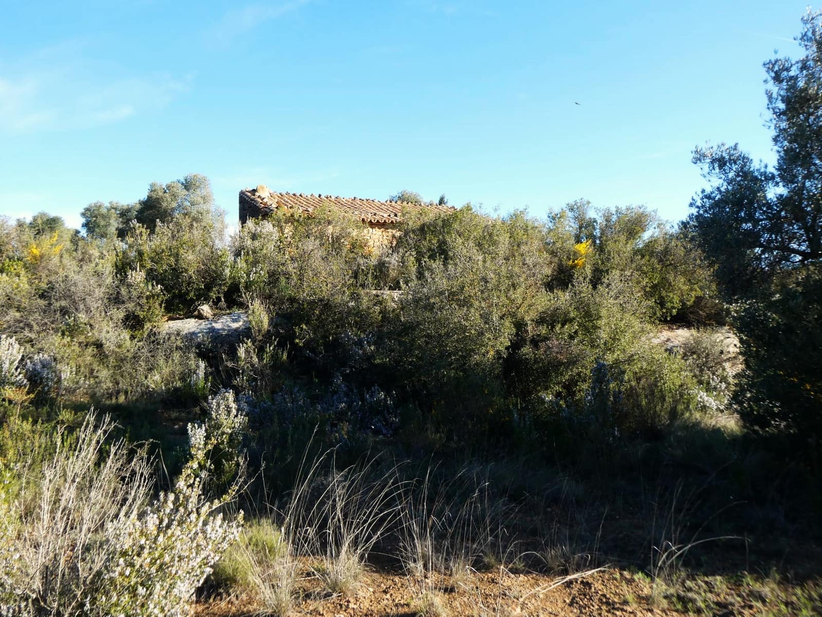 Finca/Country House for sale in Fabara - € 16,500 (Ref: 9694057)