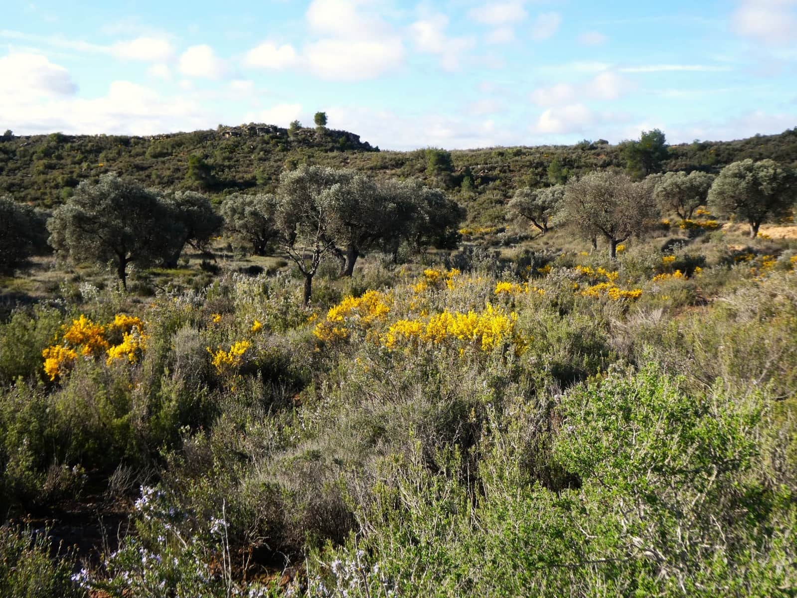 Finca/Country House for sale in Fabara - € 16,500 (Ref: 9694057)