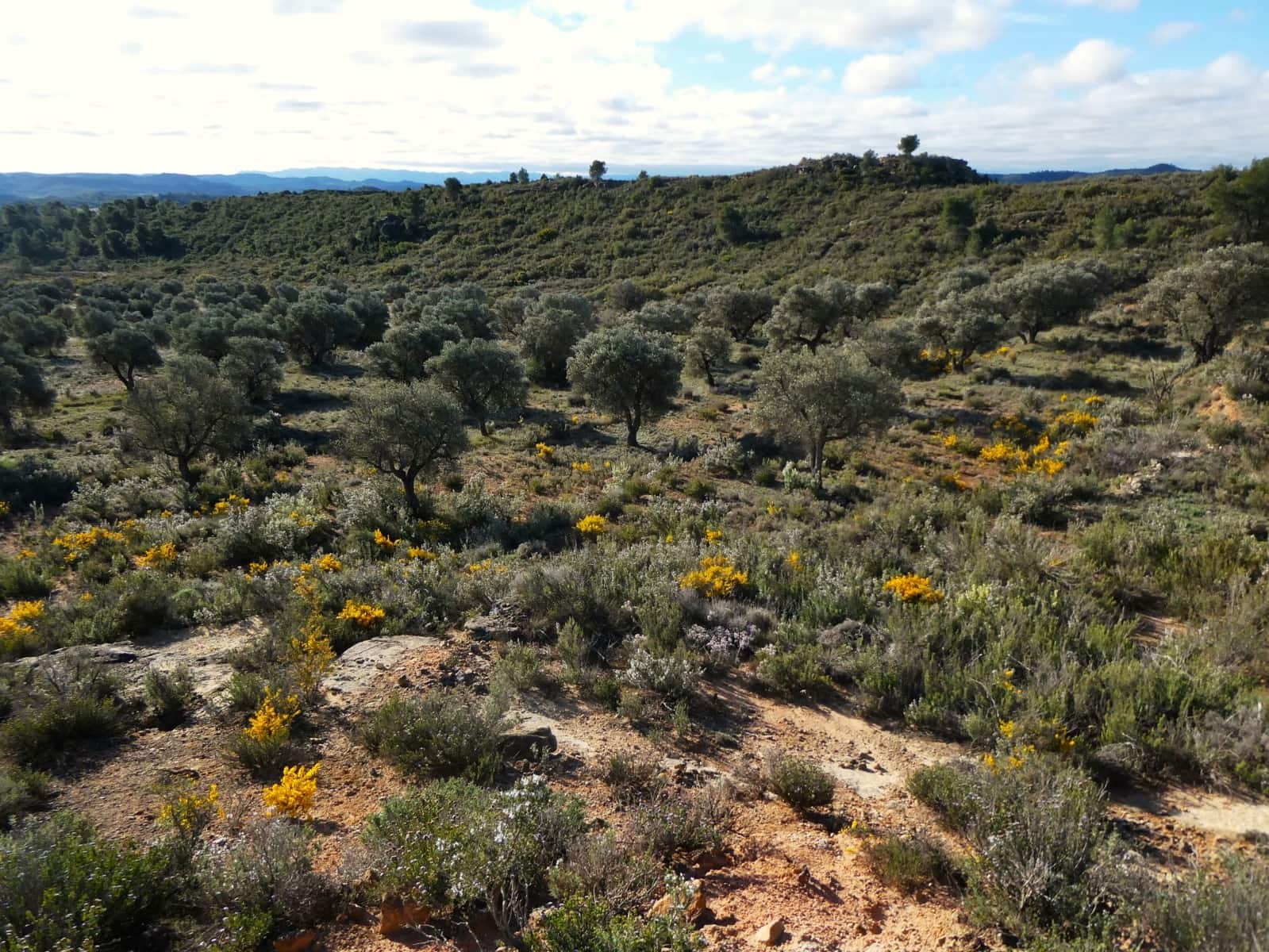 Finca/Country House for sale in Fabara - € 16,500 (Ref: 9694057)