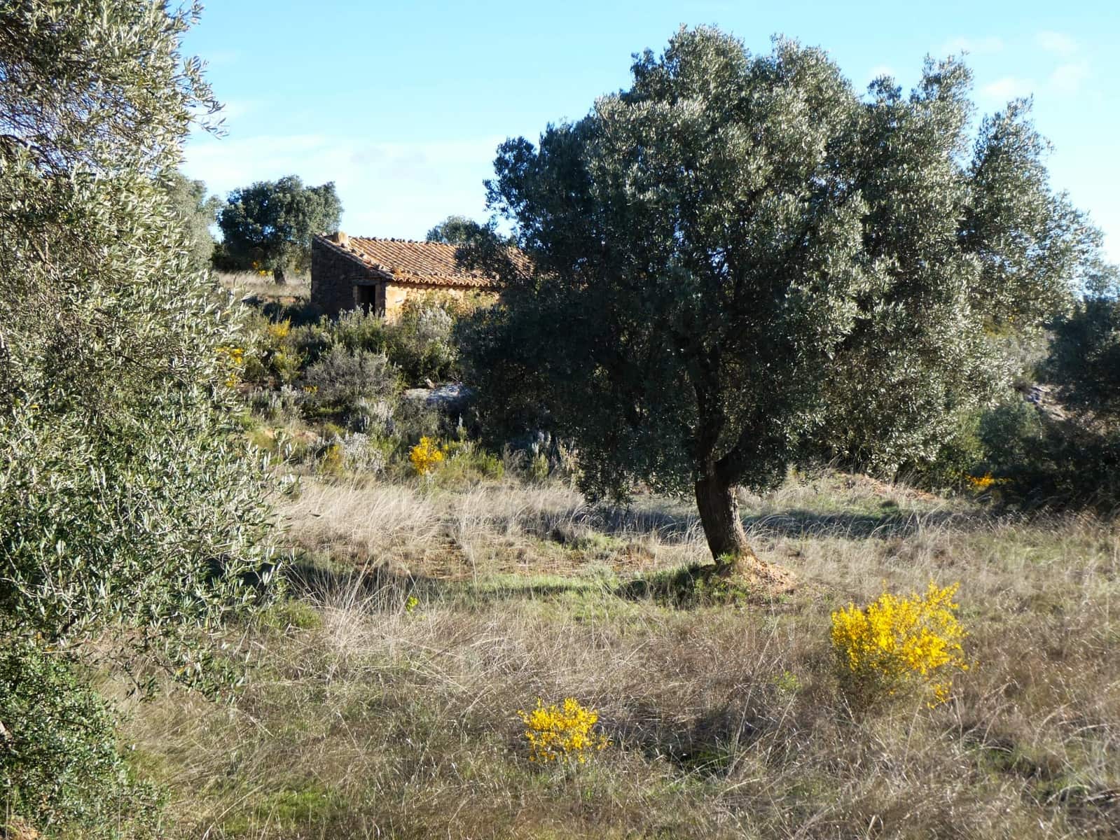 Finca/Country House for sale in Fabara - € 16,500 (Ref: 9694057)