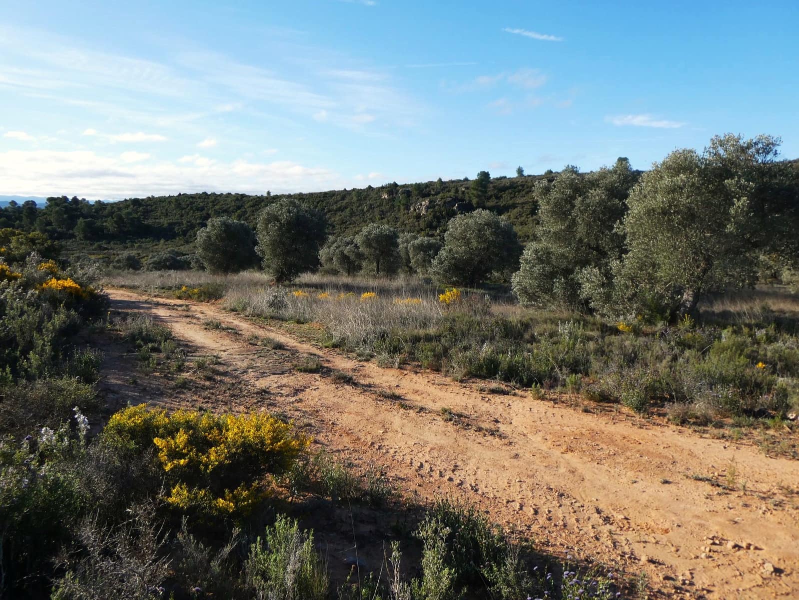 Finca/Landehus til salg i Fabara - € 12.500 (Ref: 9694057)