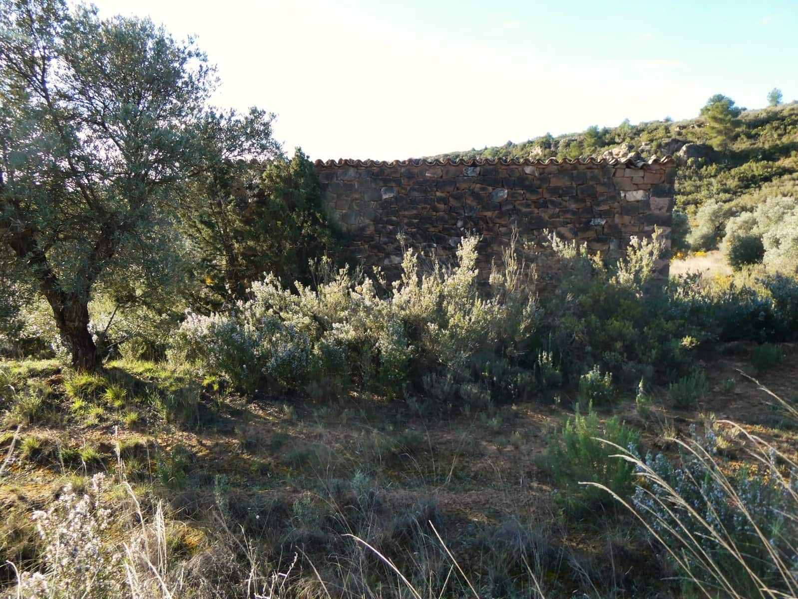 Finca/Landehus til salg i Fabara - € 12.500 (Ref: 9694057)