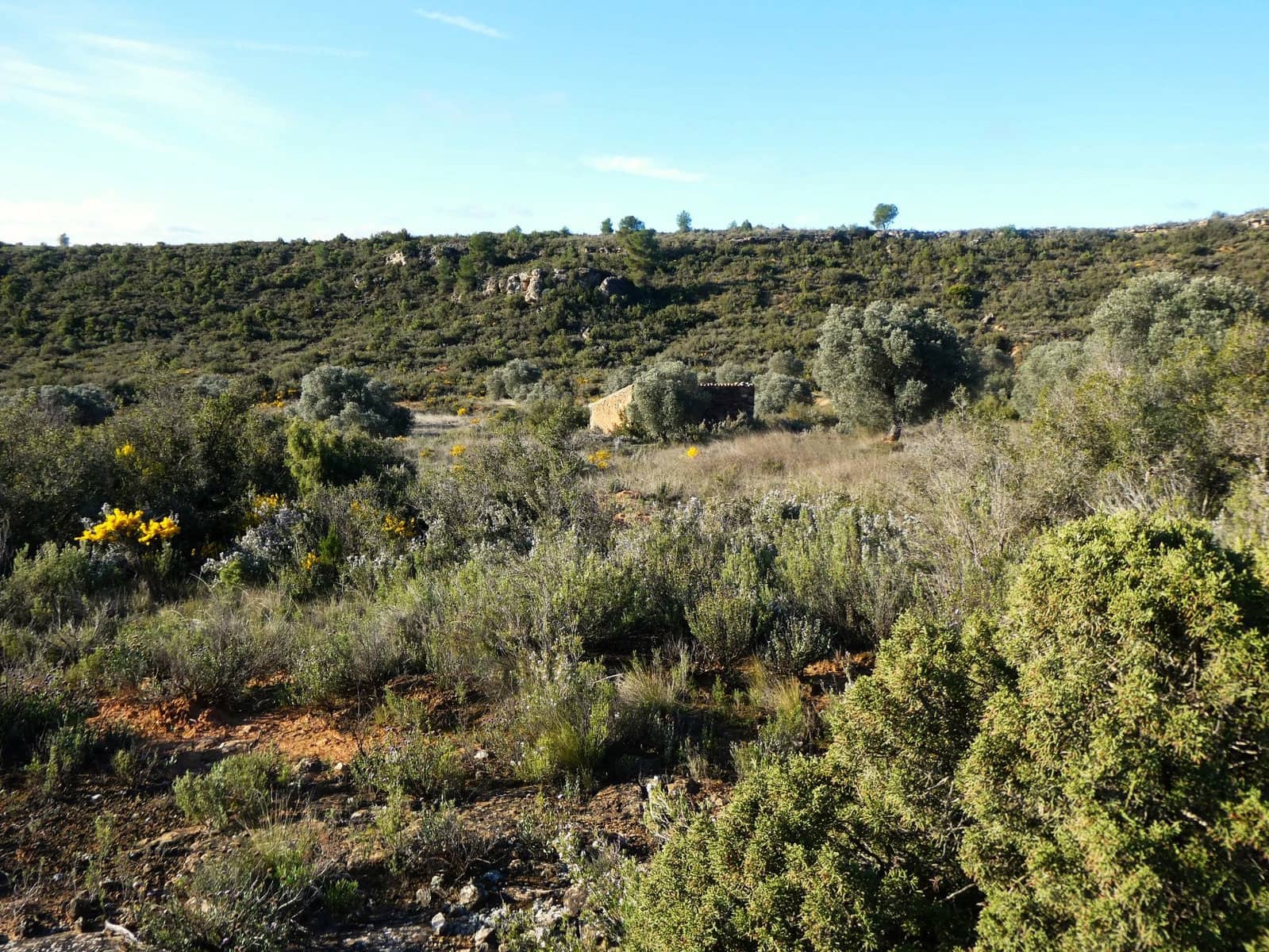 Finca/Landehus til salg i Fabara - € 12.500 (Ref: 9694057)