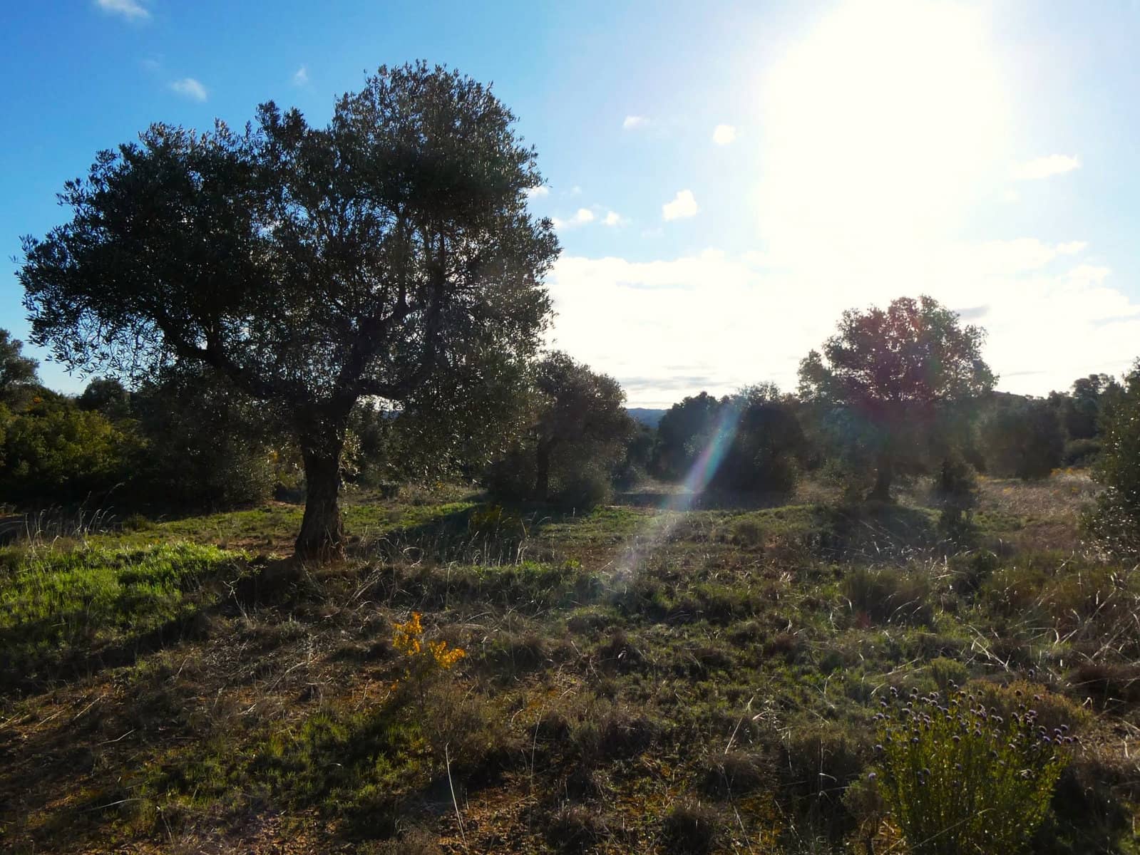 Finca/Landehus til salg i Fabara - € 12.500 (Ref: 9694057)
