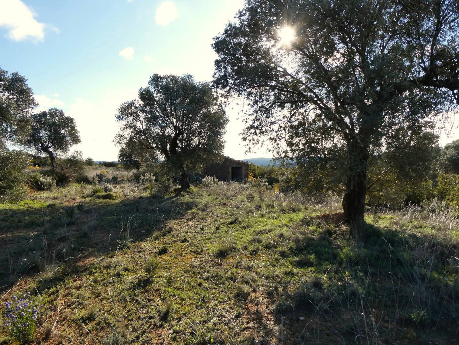 Finca/Landehus til salg i Fabara - € 12.500 (Ref: 9694057)