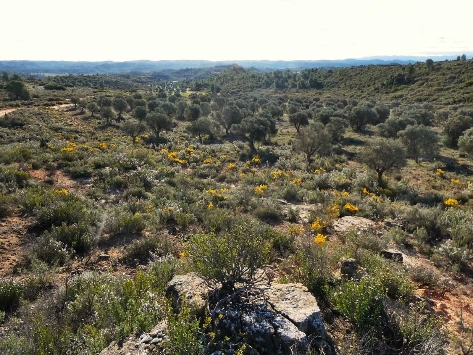 Finca/Landehus til salg i Fabara - € 12.500 (Ref: 9694057)